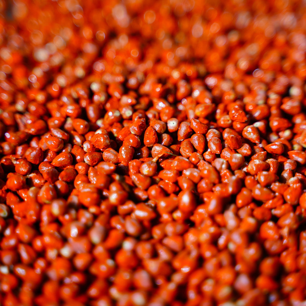 Annatto Salve