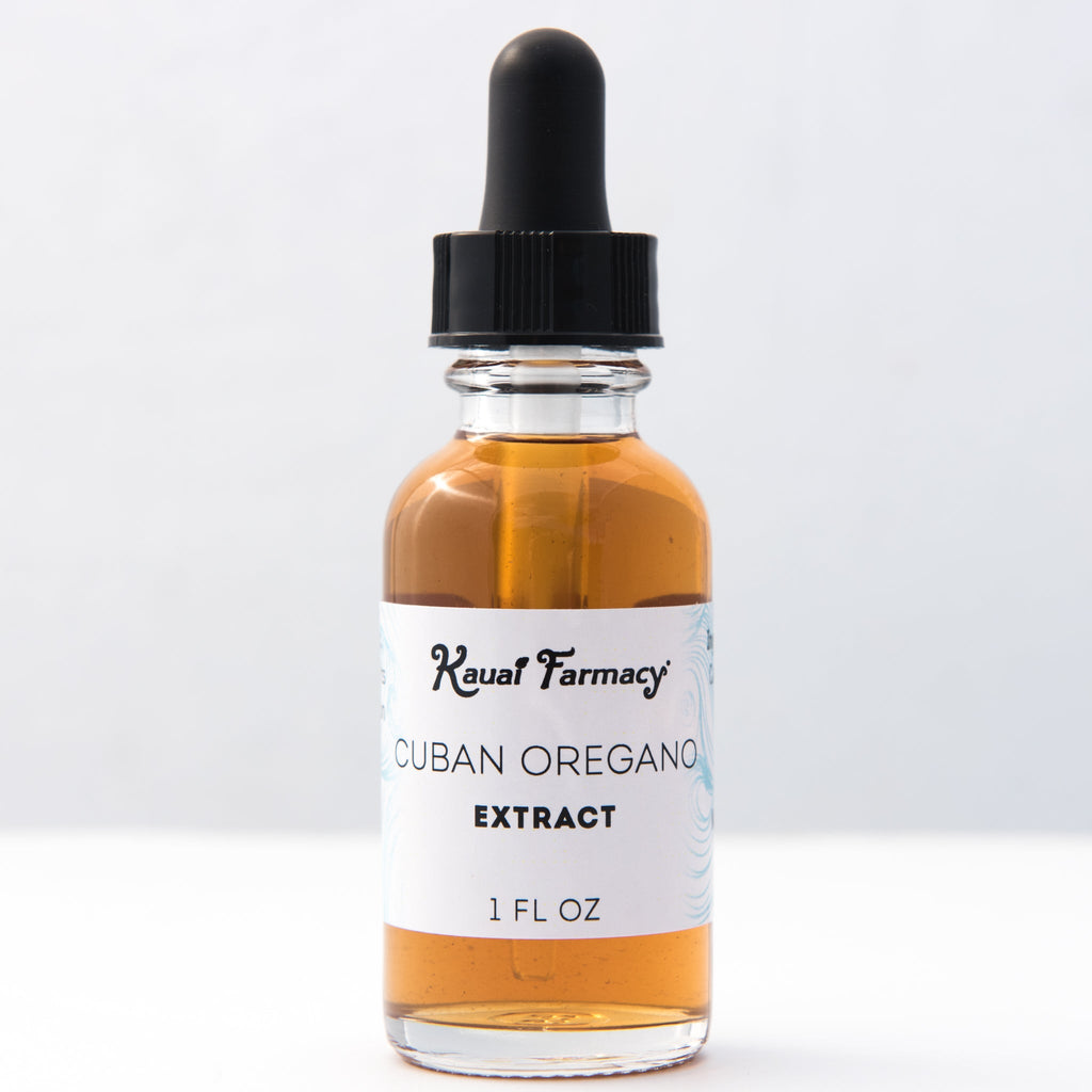 Cuban Oregano Tincture