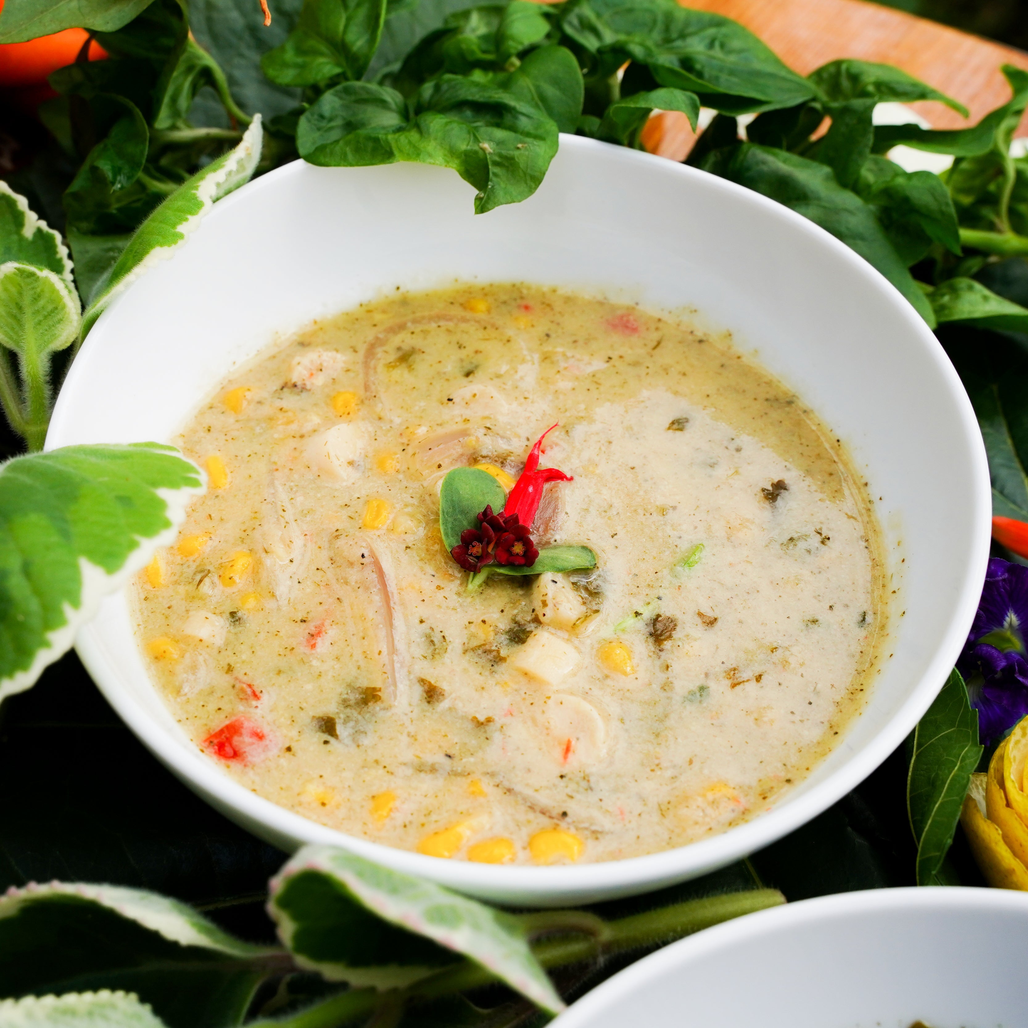Botanical Broth Blend