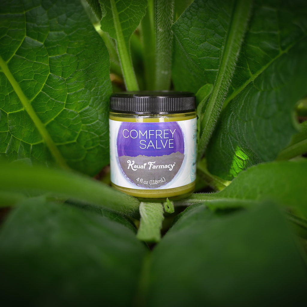 Comfrey Salve