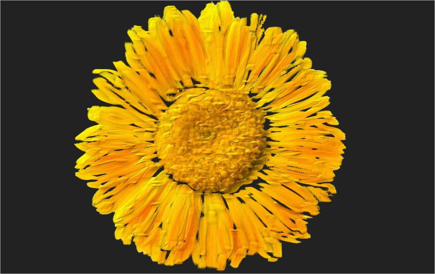 OUI ORGANIQUE Calendula Anti-Aging Night Cream Products